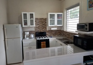 Beachside Apartment #1 - steps from the beach!