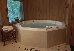 Beautiful 1 bedroom unit at resort, sleeps 4