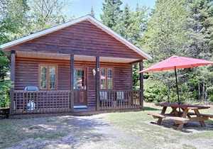 Beautiful cottage in Val-David - Log house #1