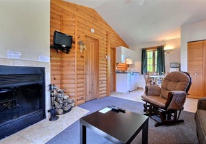 Beautiful cottage in Val-David - Log house #5