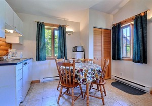 Beautiful cottage in Val-David - Log house #5