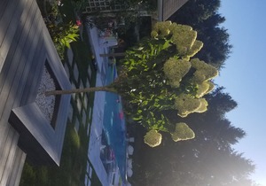Beautiful Family All Year Round Rental. Perfect Central Hamptons Location