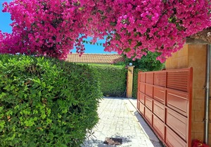Beautiful holiday house in the country with terrace | Messenia, Peloponnese