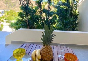 Beautiful suite S16, pool, next to Pinel Island