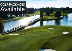 Beautifully appointed 3rd Floor 2BR Condo with great views in Seatrail in Sunset Beach (RC105)