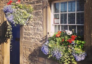 Beech croft holiday cottage