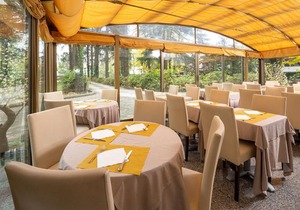 Best Western Air Hotel Linate