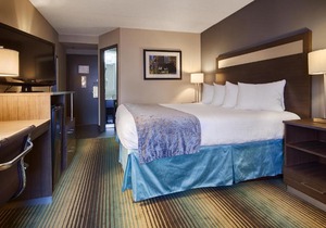 Best Western O'Hare/Elk Grove Hotel