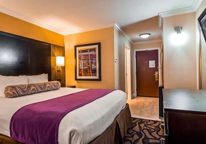 BEST WESTERN Plus Airport Plaza