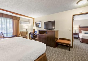 Best Western Plus Tree House