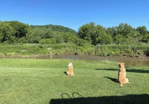 Blakley Hobbit Campground-Tent spot #2