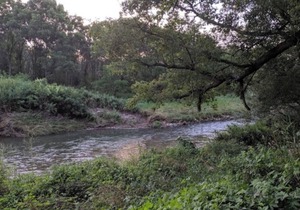 Blakley Hobbit Campground-Tent spot #6