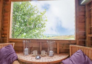 Bracken Hut at Copy House Hideaway