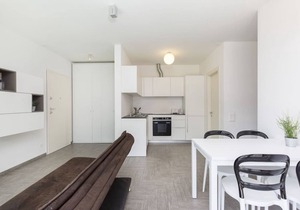 Brand New two-bedroom apartment in the Central Area of Lugano - ROGGIA 15