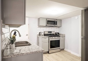 Bright and Cozy 1BR Apartment in Logan Square!