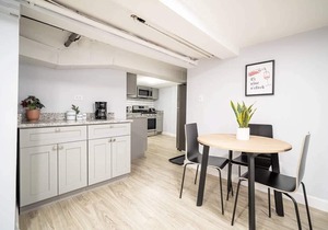 Bright and Cozy 1BR Apartment in Logan Square!