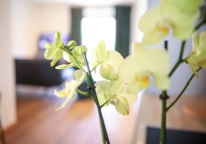 ☆BRIGHT: Loft-Style for 2 | Kitchen | Parking | Netflix