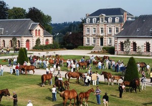Brit Hotel Confort Saint-Lô