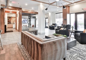 Bud Brewery + Eats | Pool & Gym | Zencity