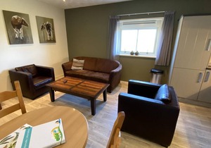Bungalow ∙ 2 bedrooms ∙ 4 guests