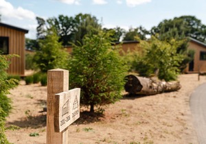 Bungalow ∙ 2 bedrooms ∙ 4 guests