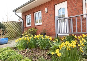 Bungalow *Frisia 1* left