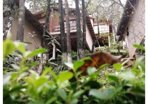 Cabañas Los Bosques del Zembo