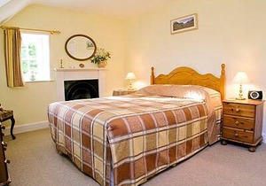 Cabin ∙ 1 bedroom ∙ 2 guests