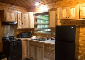 Cabin 2353 - Little Log Cabin within Private Resort