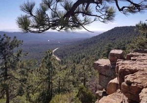 Cabin at Christopher Creek