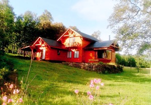 Cabin Chalet Type in Pucon