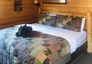 Cabin Creek Inn - Standard King Cabin