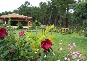 Campsite LANDES OCEANES * - MH 4 pers 4 persons