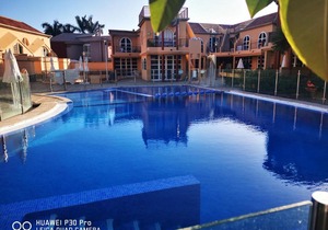 canoa palm oasis 2