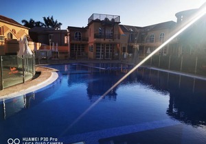 canoa palm oasis 2