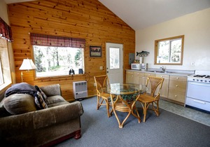 'Cape Kasilof Cabin' Waterfront/Sunset Views