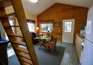 'Cape Kasilof Cabin' Waterfront/Sunset Views