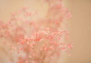 Captivating 1bed1study Wentworth Point APT (+view)