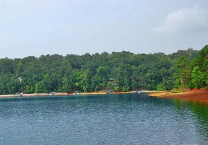Carolina Landing Camping Resort Cabin 11