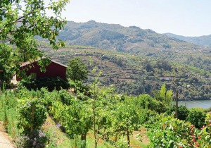 Casa Da Mouta - Douro Valley
