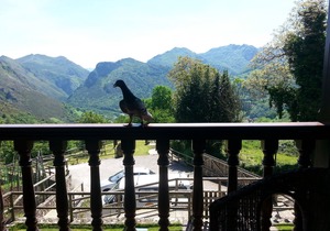 "Casa de Aldea Peñanes 3", 15 minutes from Oviedo
