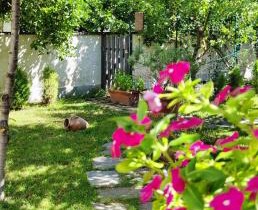Casa Teresinella Garden