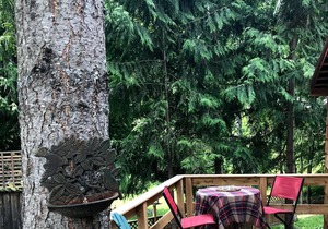 Cedar Cottage, private & cozy experience