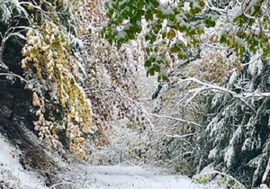 Chalet (4-6 pers) Doucy-Valmorel