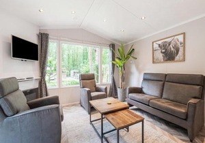 chalet in the woods with pool