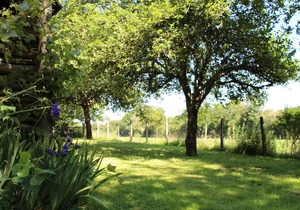 Charming Cottage: Fireplace, Wifi, Bikes, Garden & Garage in Lush Countryside