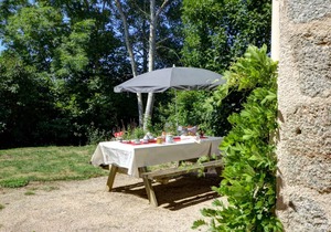 Charming Cottage with Fireplace, Garden, and Nature Walks Near Scenic Lakes