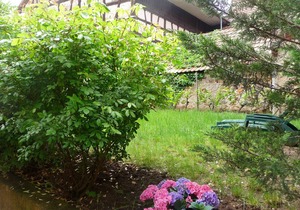 Charming furnished accommodation at the foot of the Haut-Koenigsbourg - Le Caveau *