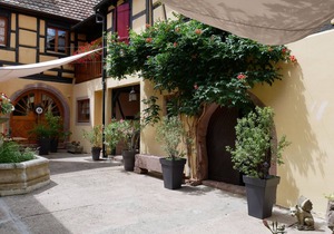 Charming furnished accommodation at the foot of the Haut-Koenigsbourg - Le Caveau *