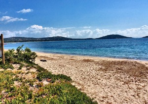 Charming holiday villa 700 m from the sublime beach of St Cyprien